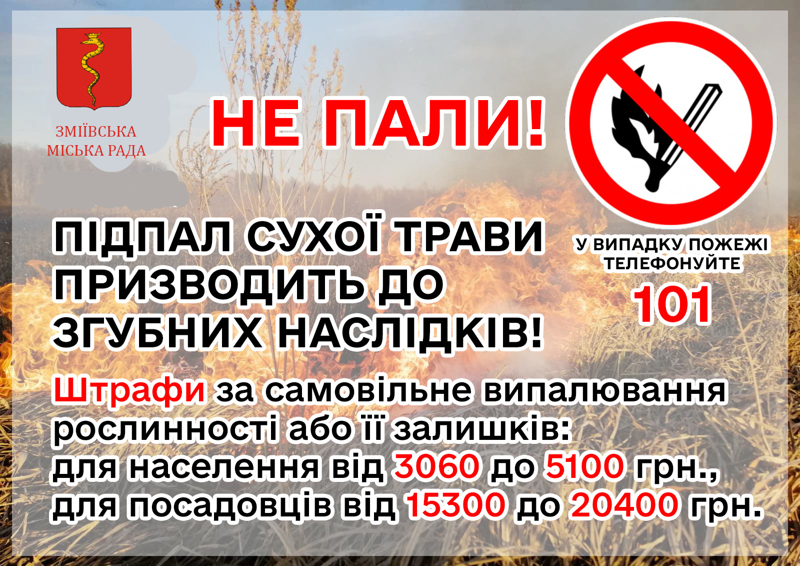 339668094 3499253970296469 1706272716800966210 n