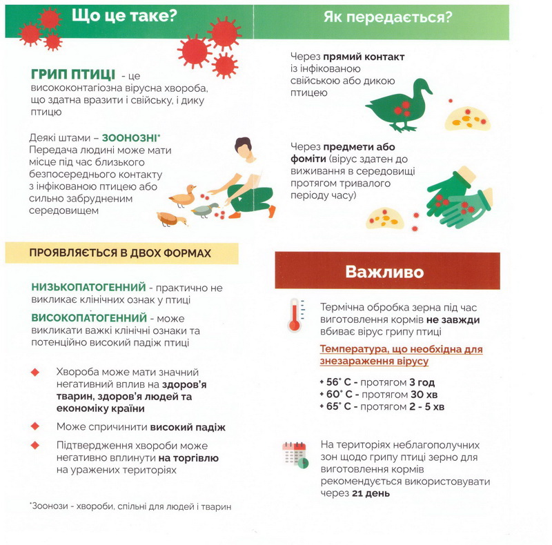 грип 6 як передається