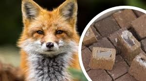 завантаження 01102024 1