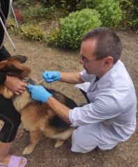 завантаження 07082024 5