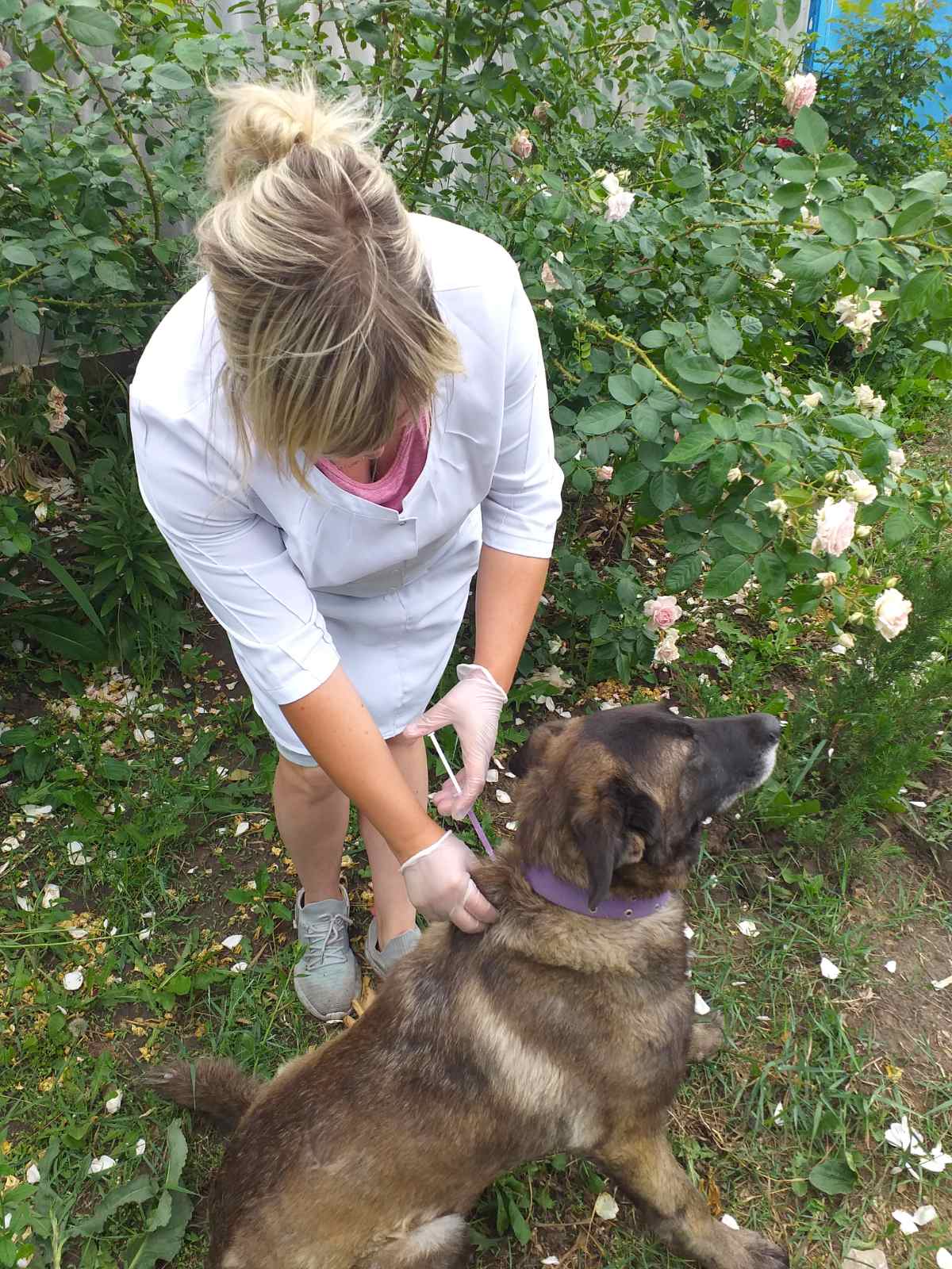 фотоматеріал 27062024 2