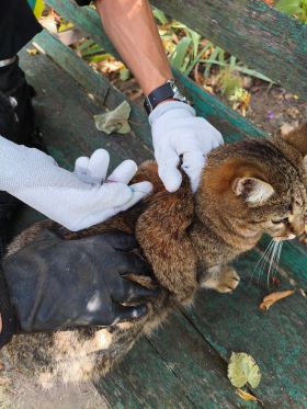 Фотоматеріал 1 09102025