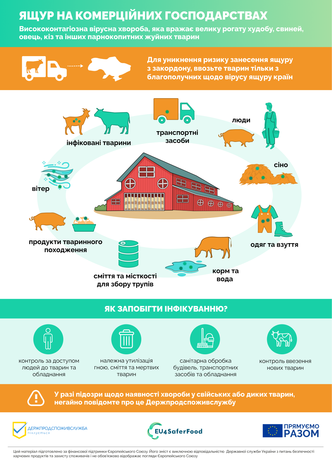 Ящур Комерційні господарства Final 4