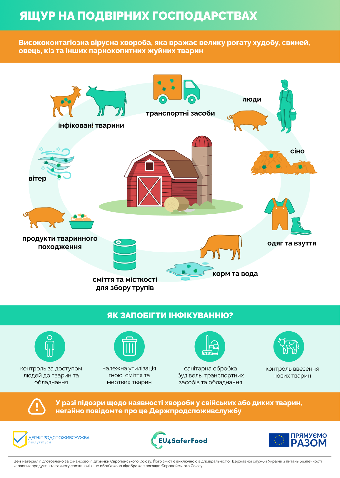 Ящур Подвірні господарства Final 1 7