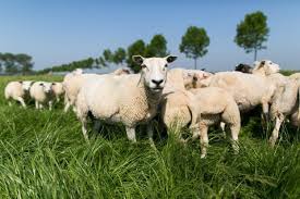 завантаження 23052025 3