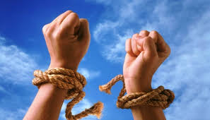 завантаження 28012025 2