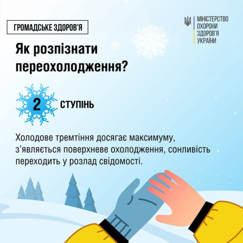 613181929 1341526728001540 9154457896080955757 n 480x480 2