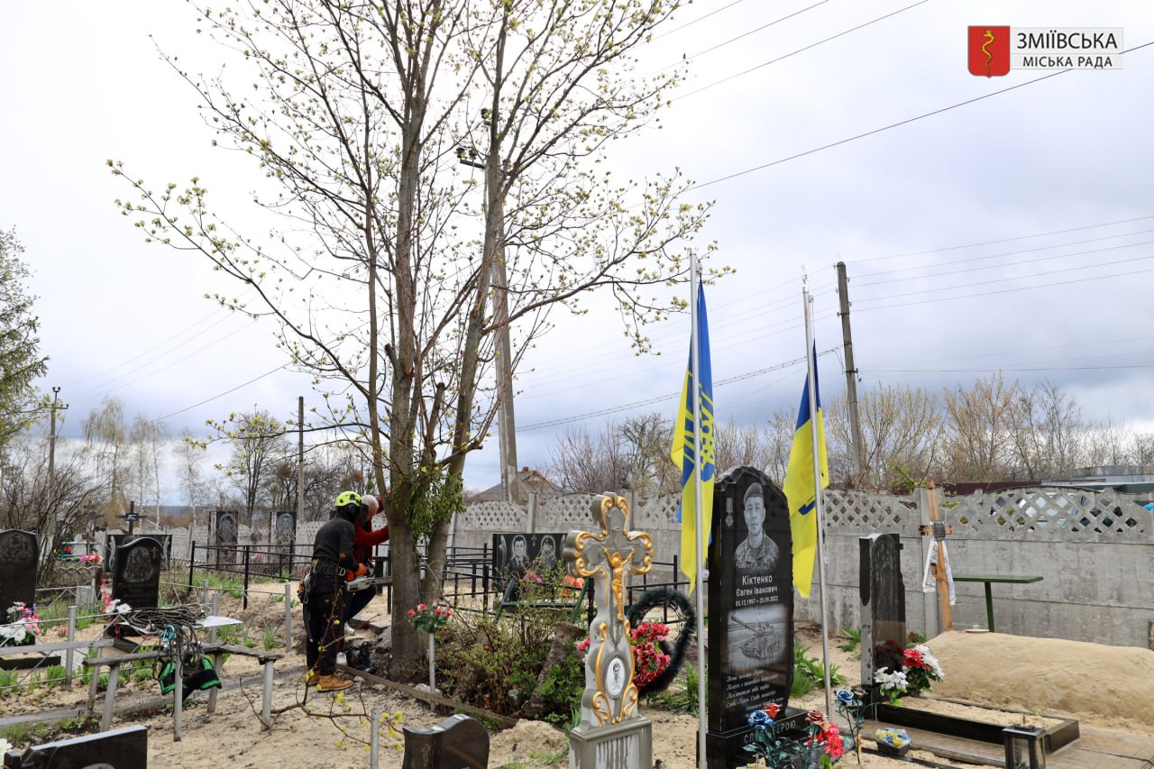 photo 2026 04 10 08 07 33