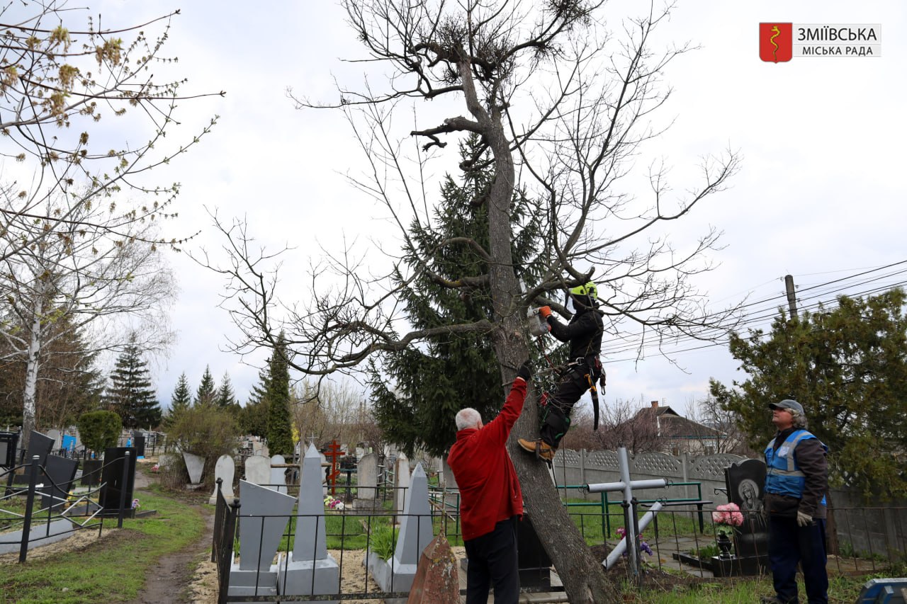 photo 2026 04 10 08 07 44