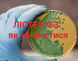 завантаження 1 08052026 1