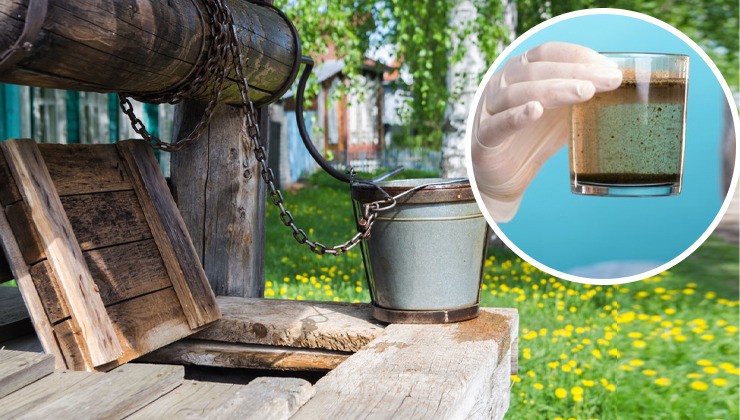 Картинка 08042024 1