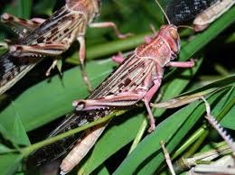 завантаження 28062024 1