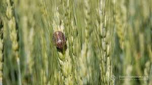 завантаження 31052024 2